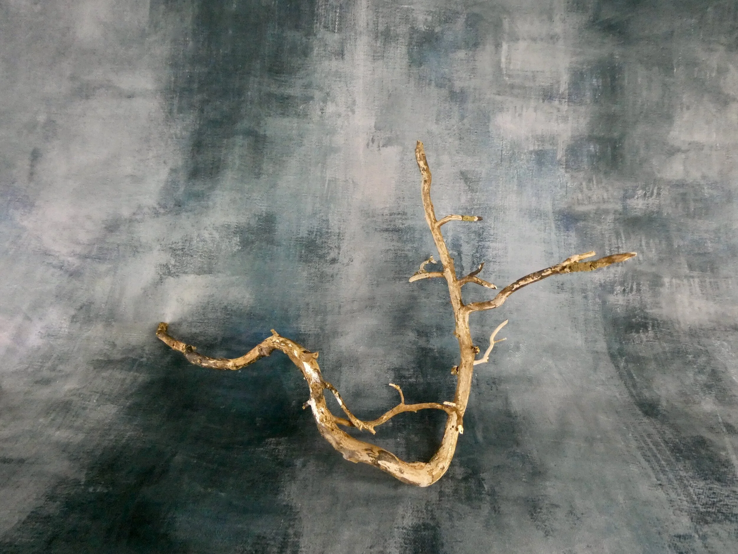 Ivy Wood Branch