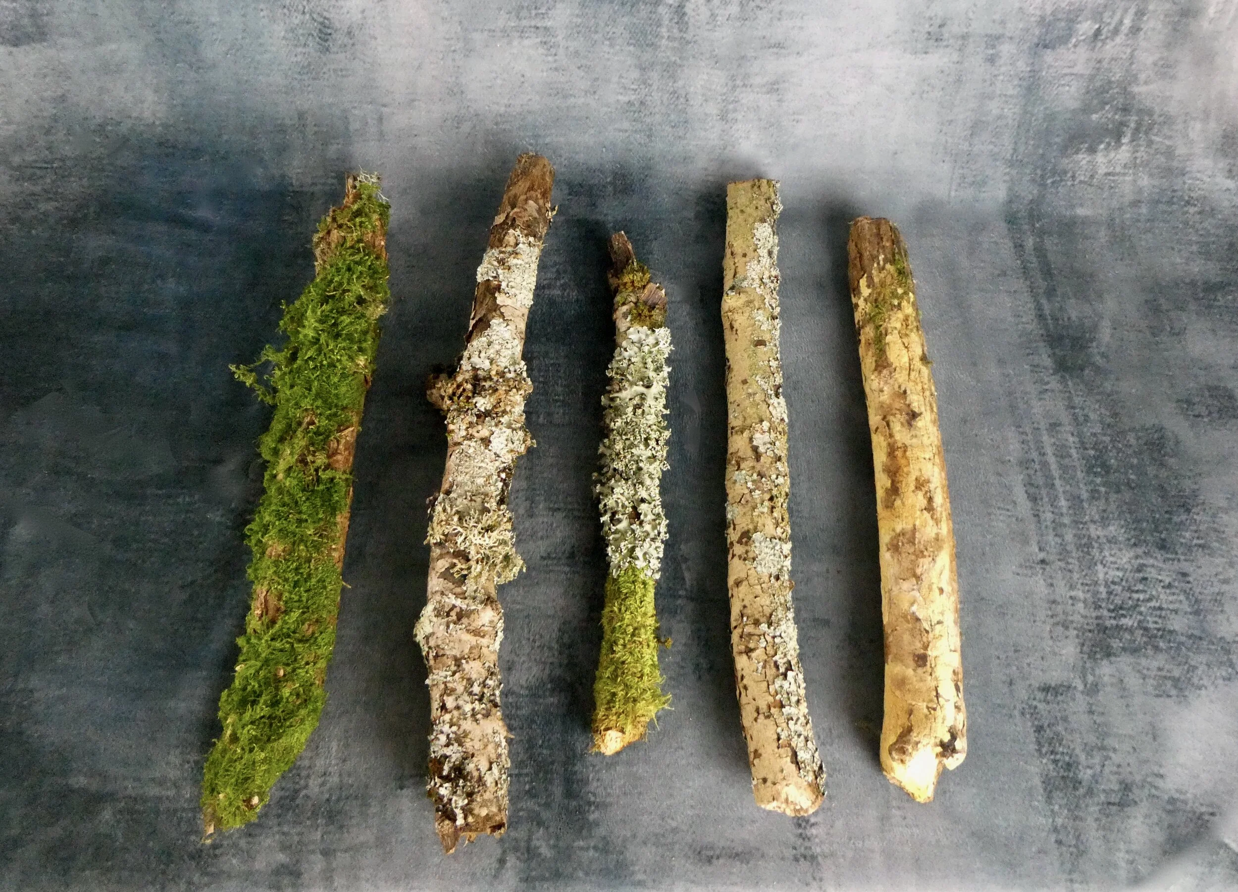 Chunky Sticks 
