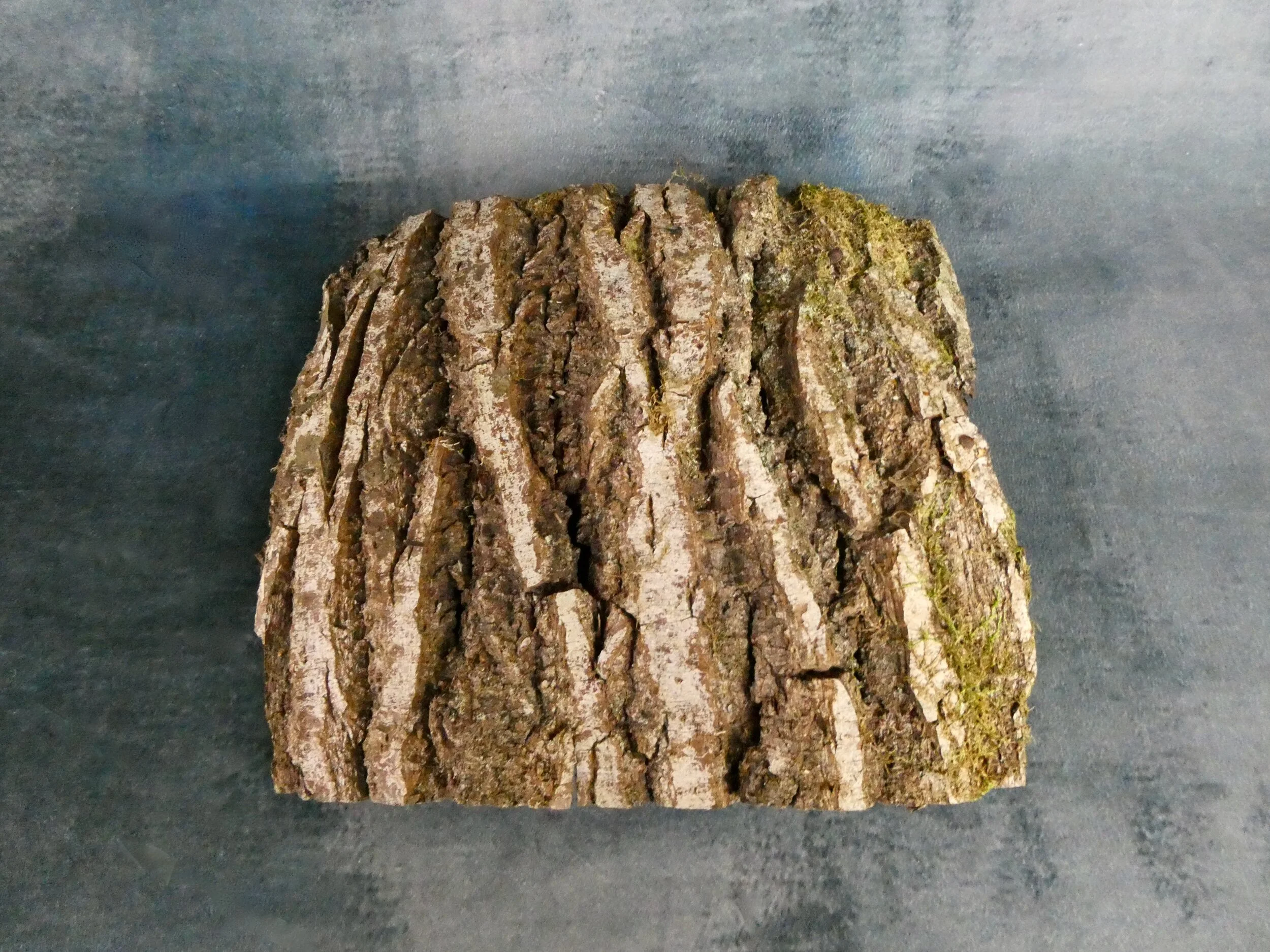Bark Sheet 