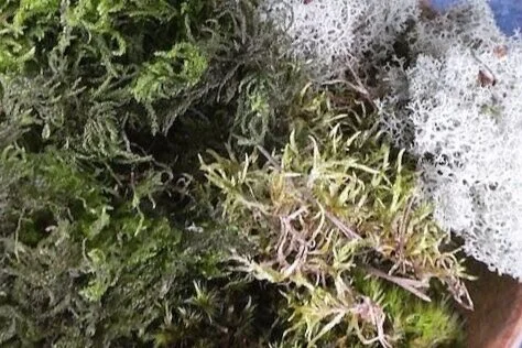 P1220317.jpg