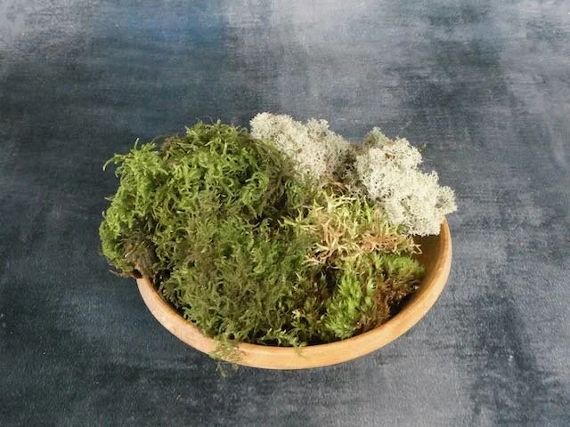 Assorted Dried Moss 