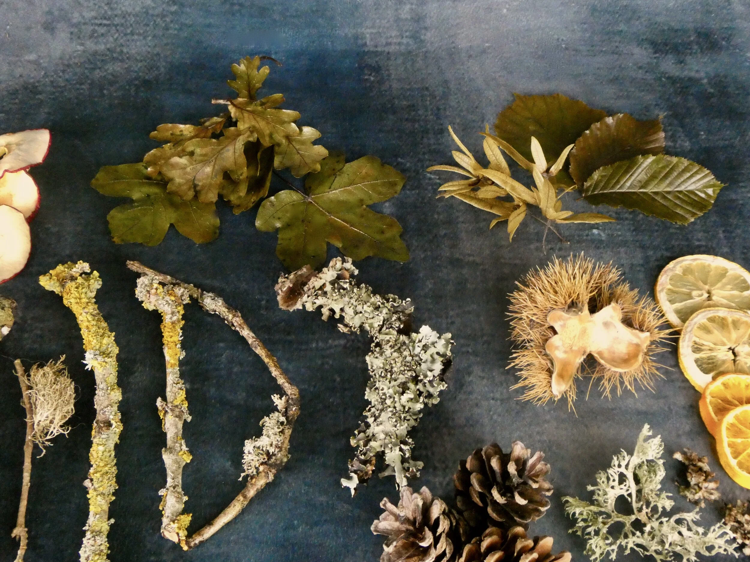 Woodland Finds: Lucky Bag