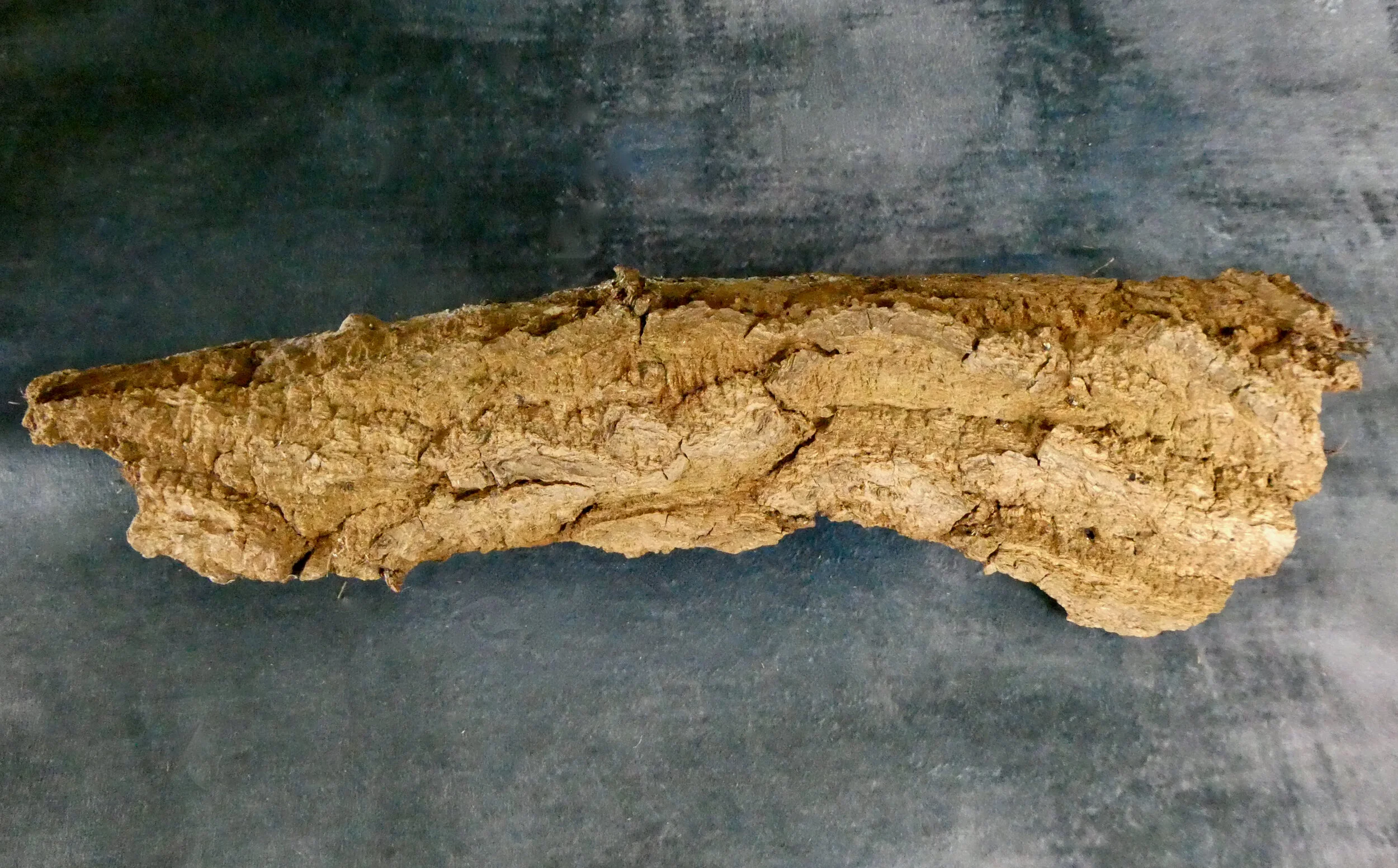 The same piece of bark, showing the side which will form the underneath of your decoration