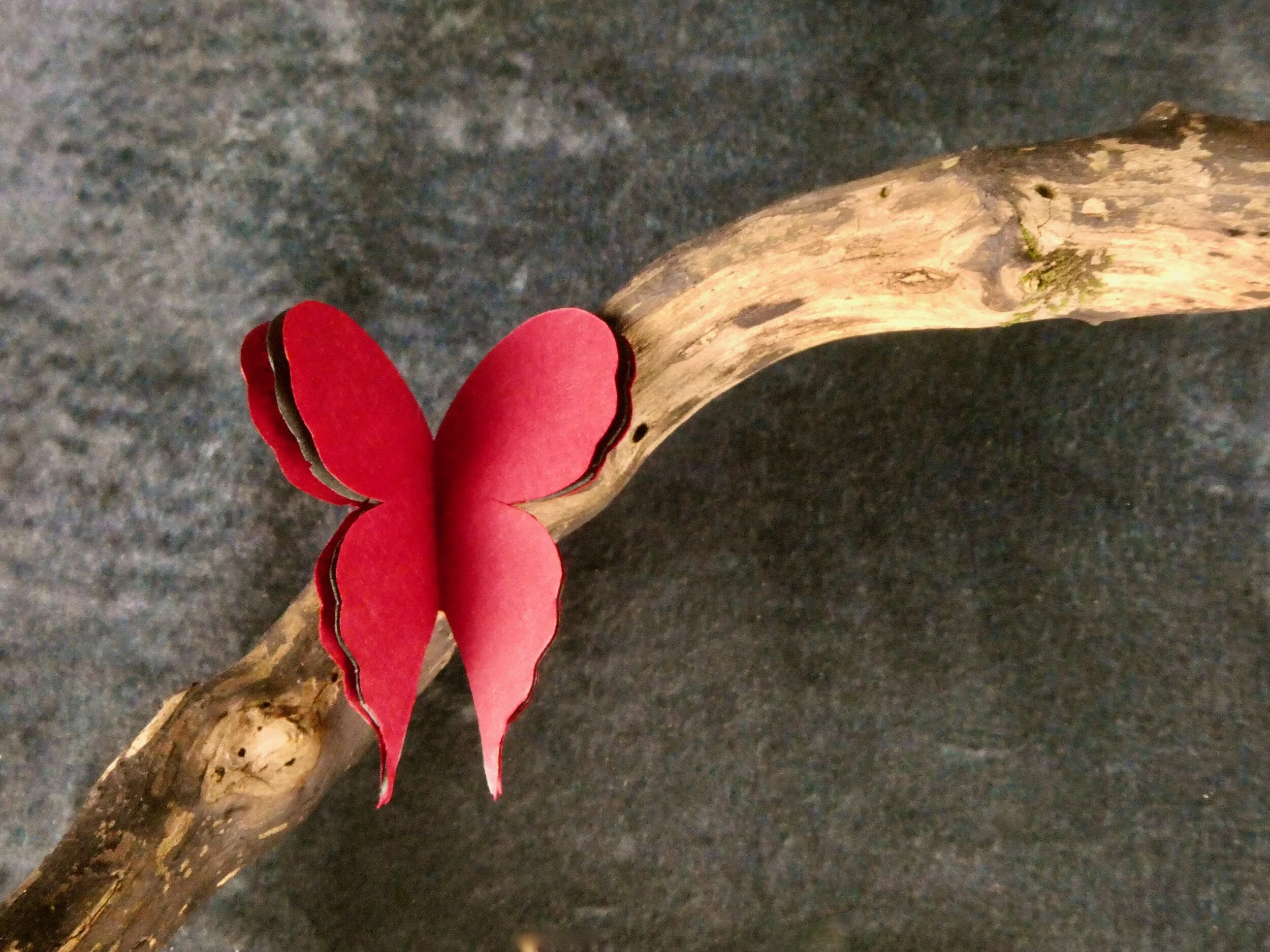 Example of a butterfly made with plain origami paper - note the use of two colours