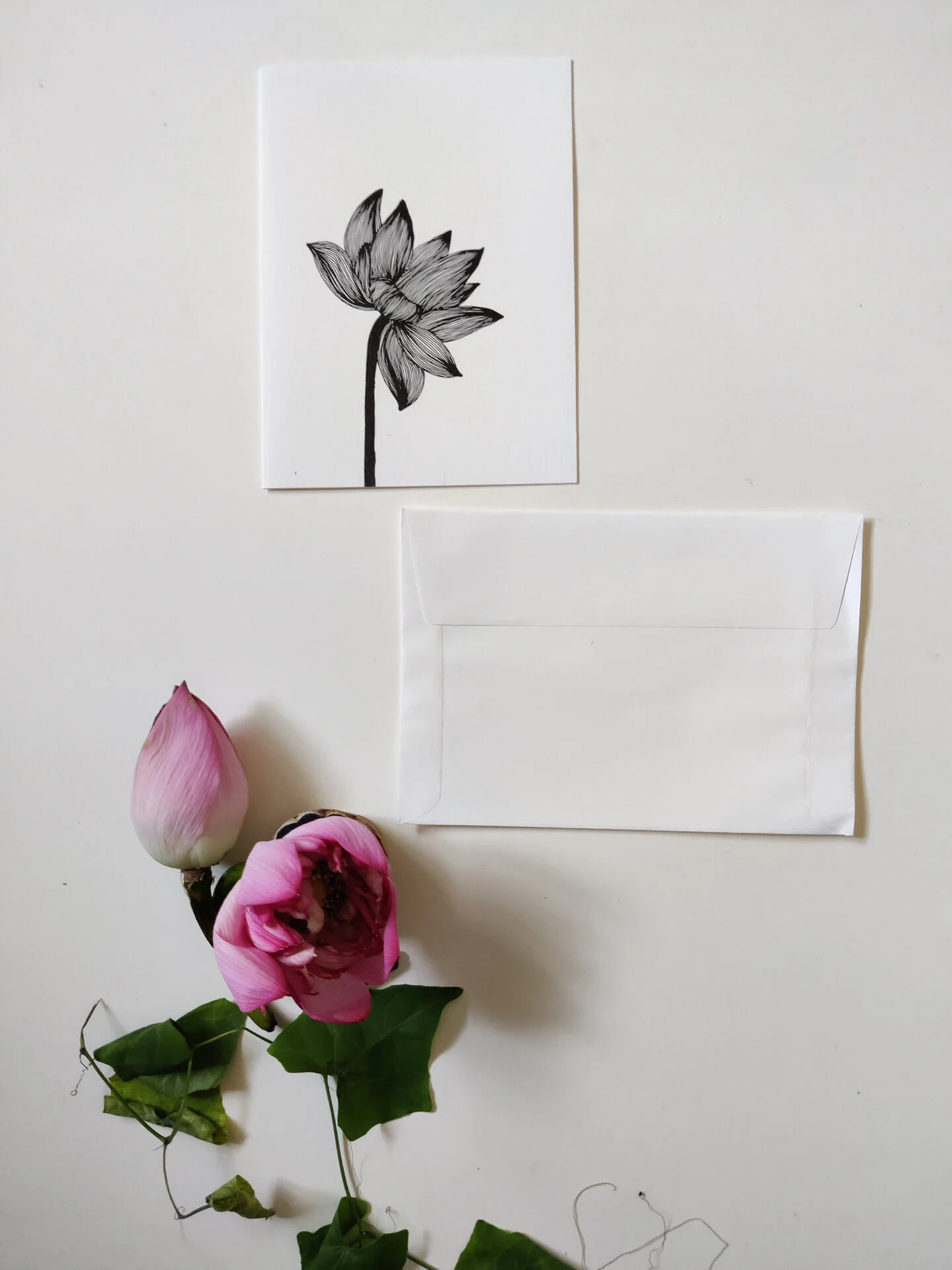 Padma Envelop.jpg