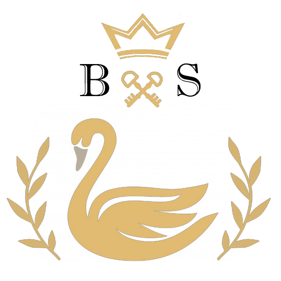 BS_A_C_BS_black.png