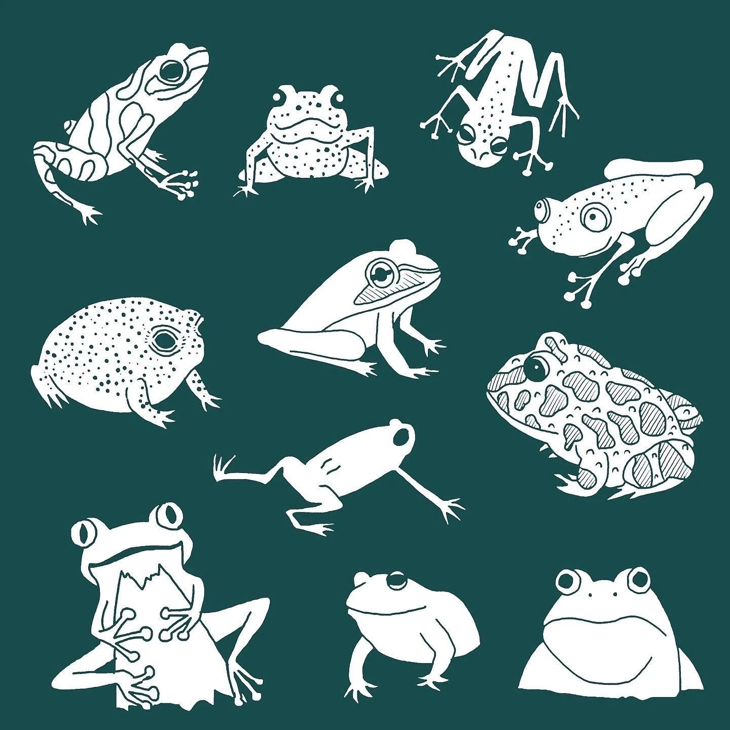 Icons_Frogs.jpg