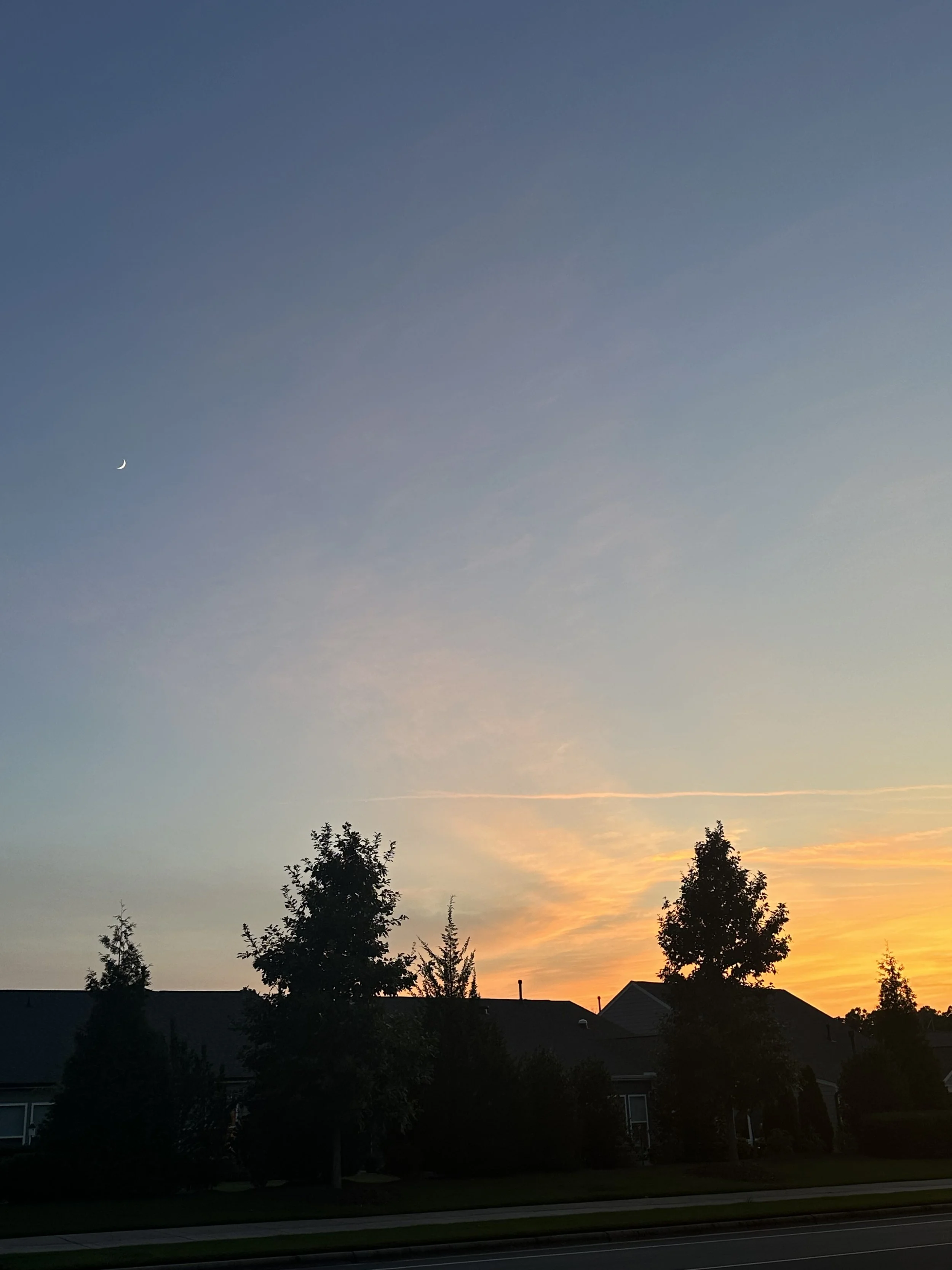 IMG_6115.jpeg