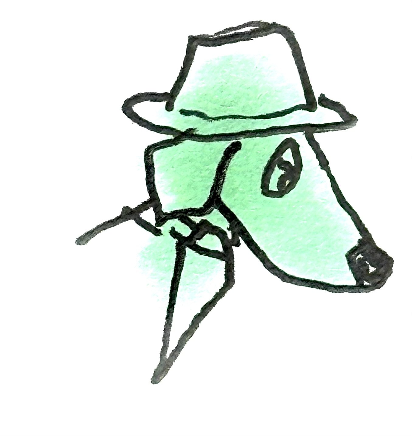 IMG_2051.jpeg