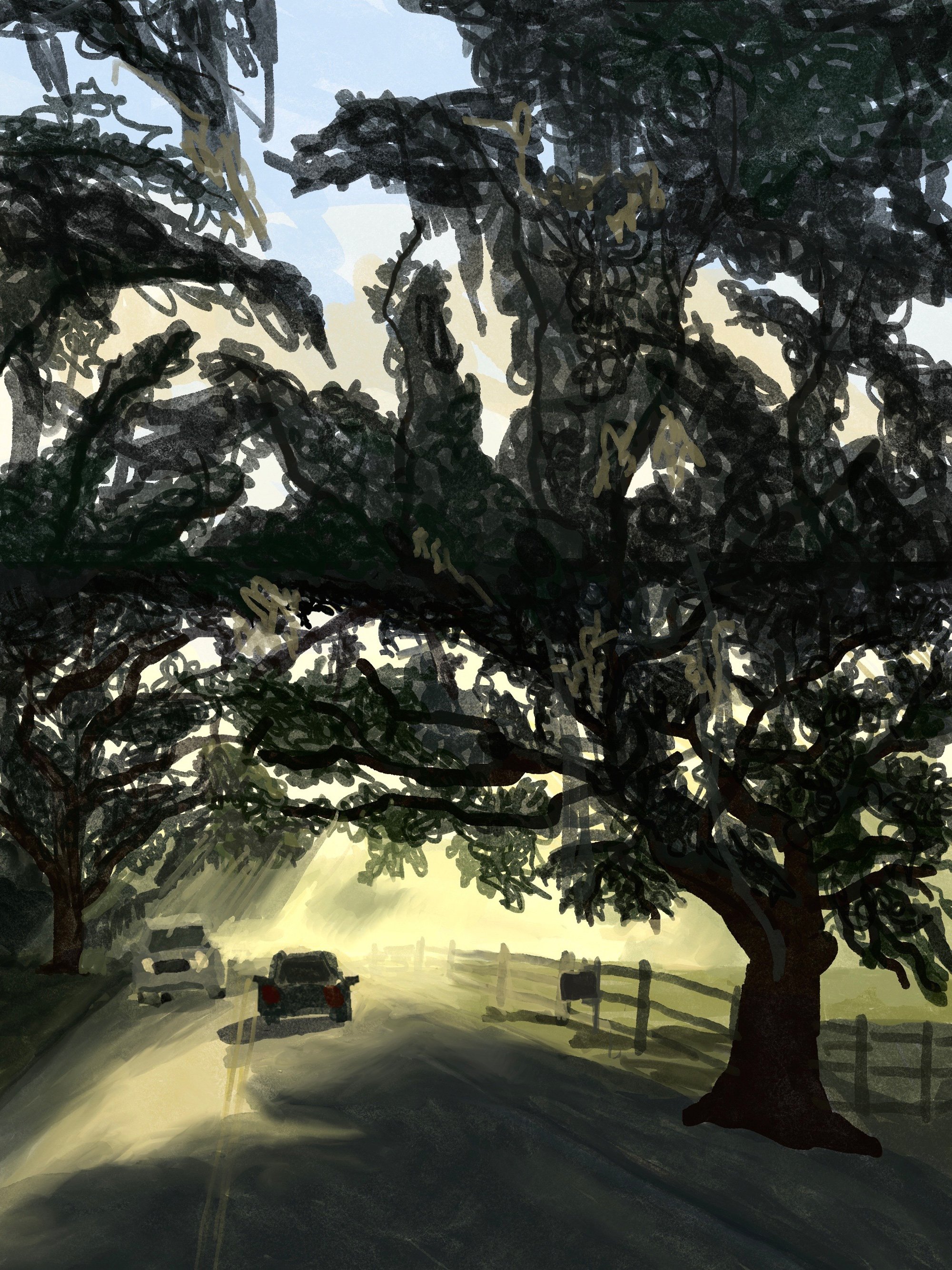 Lowcountry Road at Dusk