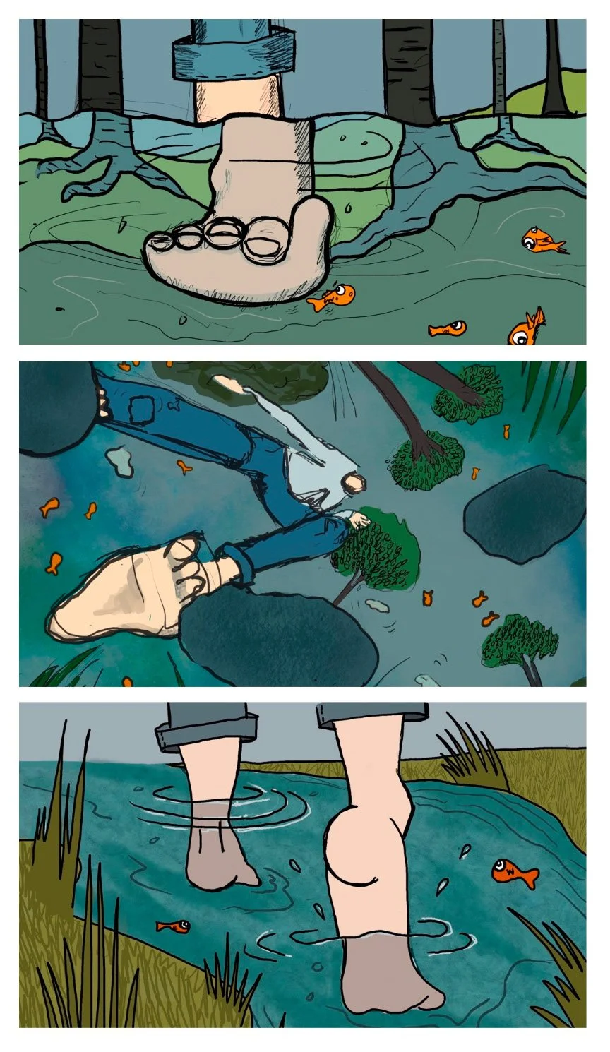 CreekCrossing.jpg