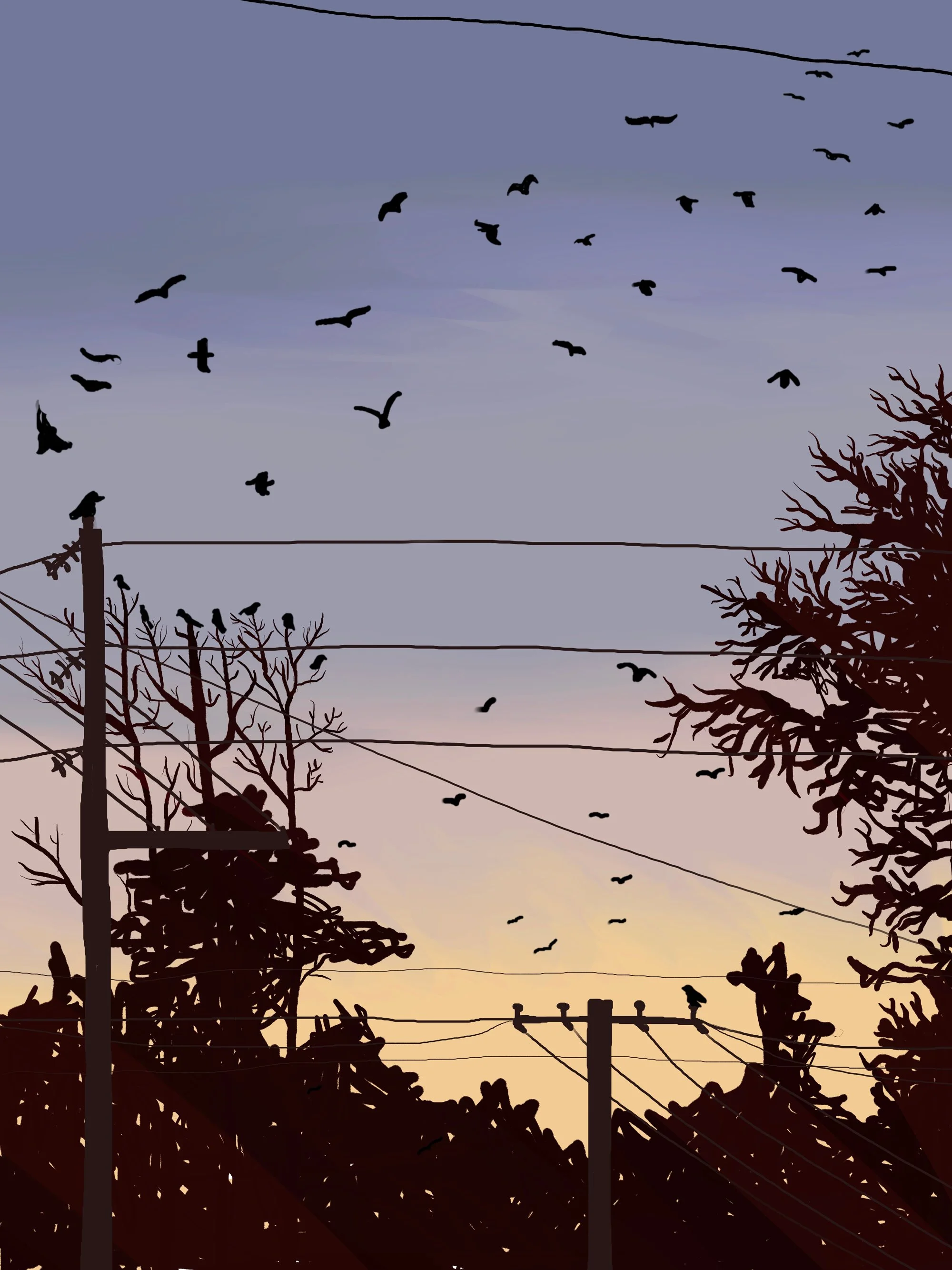 W_DuskSkywithBirds.jpg
