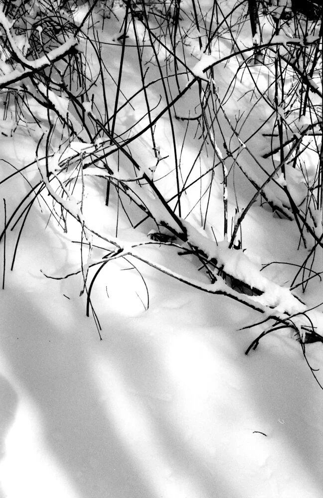 JSMayher_BWNegScan_BW28_6_Web.jpg