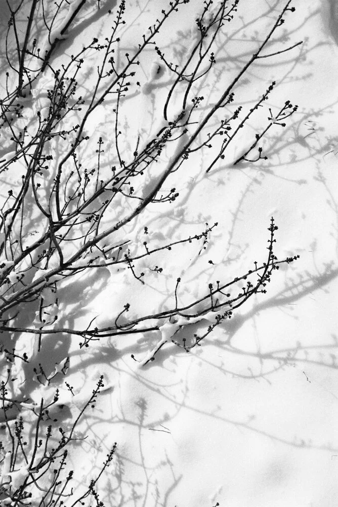 JSMayher_BWNegScan_BW28_34A_Web.jpg