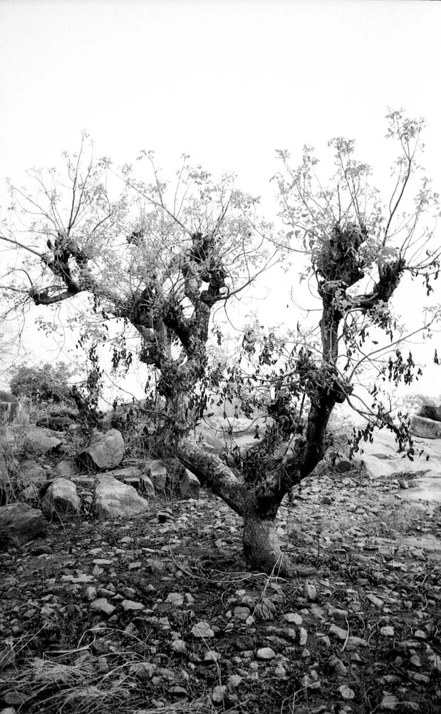 JSMayher_BWNegScan_BW108_5A_Web.jpg