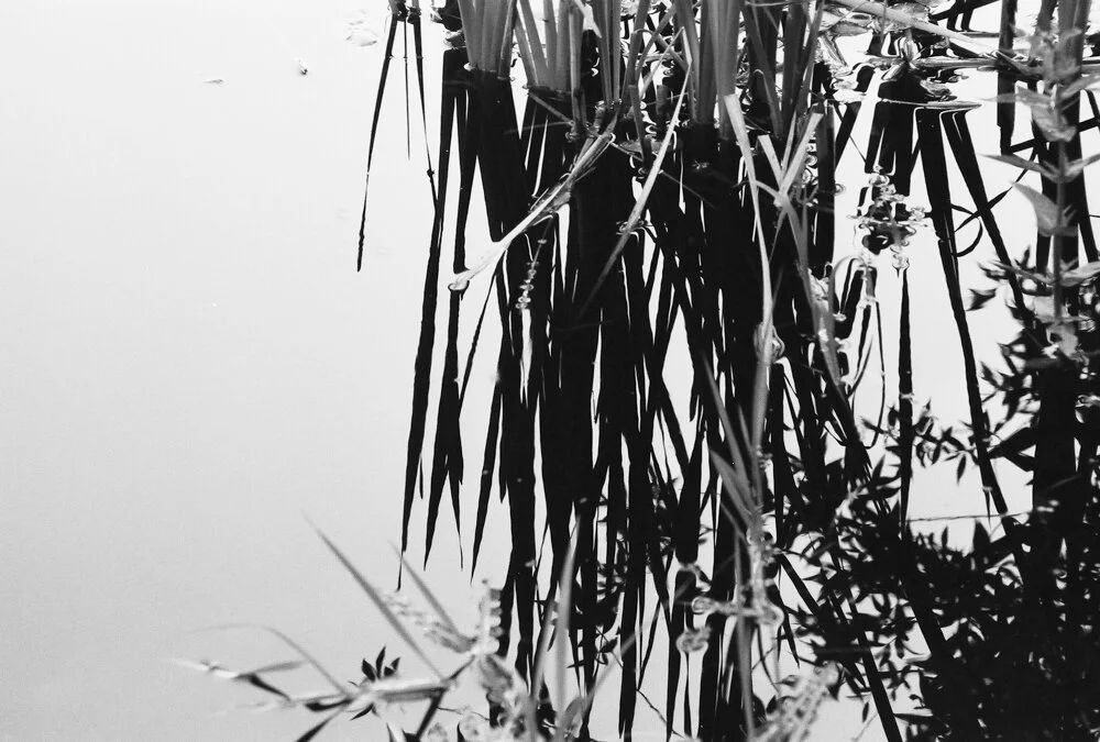 JSMayher_BWNegScan_BW202_13_Web.jpg