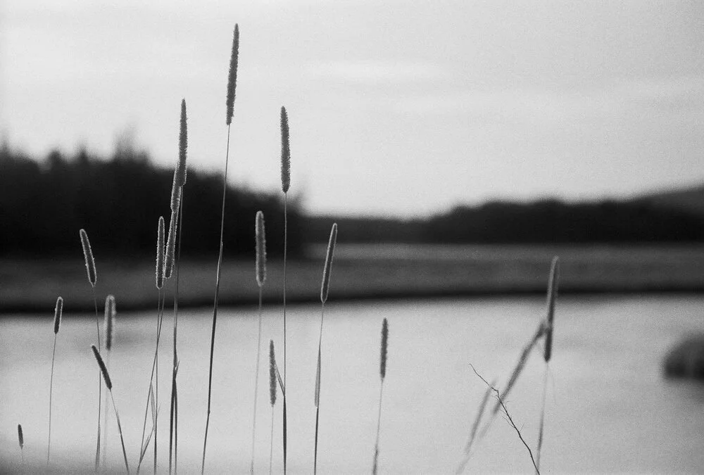 JSMayher_BWNegScan_BW270_08_Web.jpg