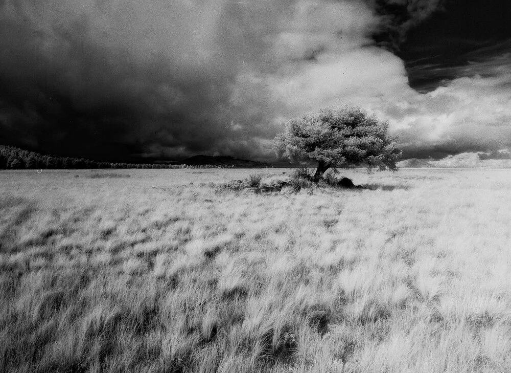 JSMayher_BWNegScan_BW280_02_Web.jpg