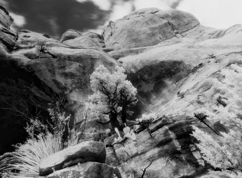 JSMayher_BWNegScan_BW280_06_Web.jpg