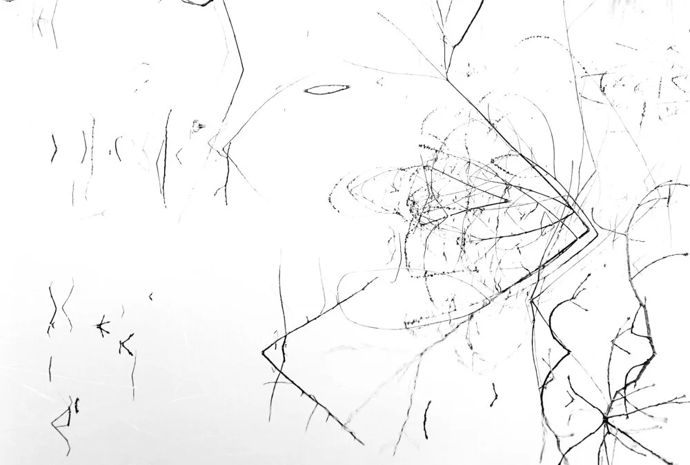 JSMayher_BWNegScan_BW243_12_Web.jpg