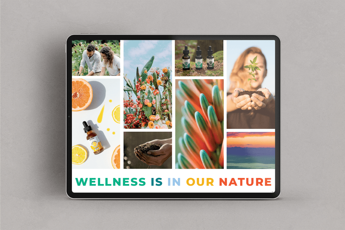 Solid Green Remedies Brand Book Moodboard Page
