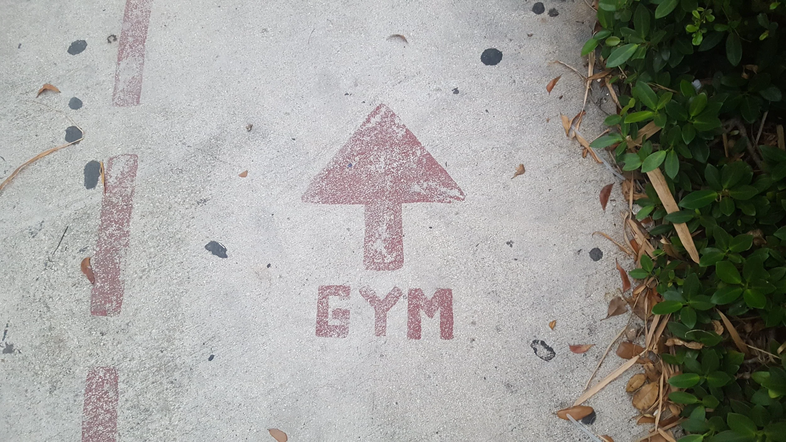 The 5 Best Exercises For Health, Strength, and Fitness