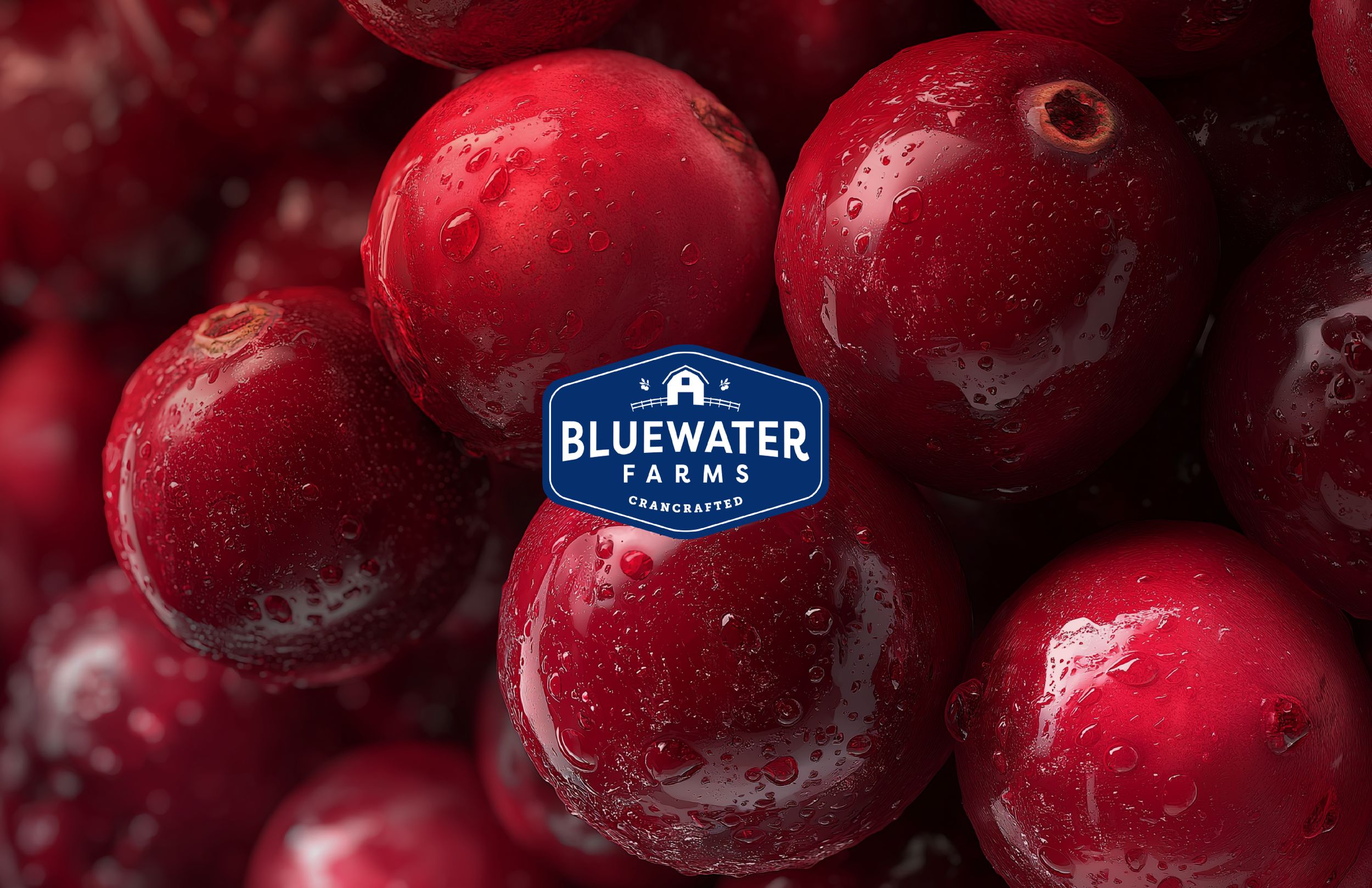 BLUEWATTER_FARMS-05.png