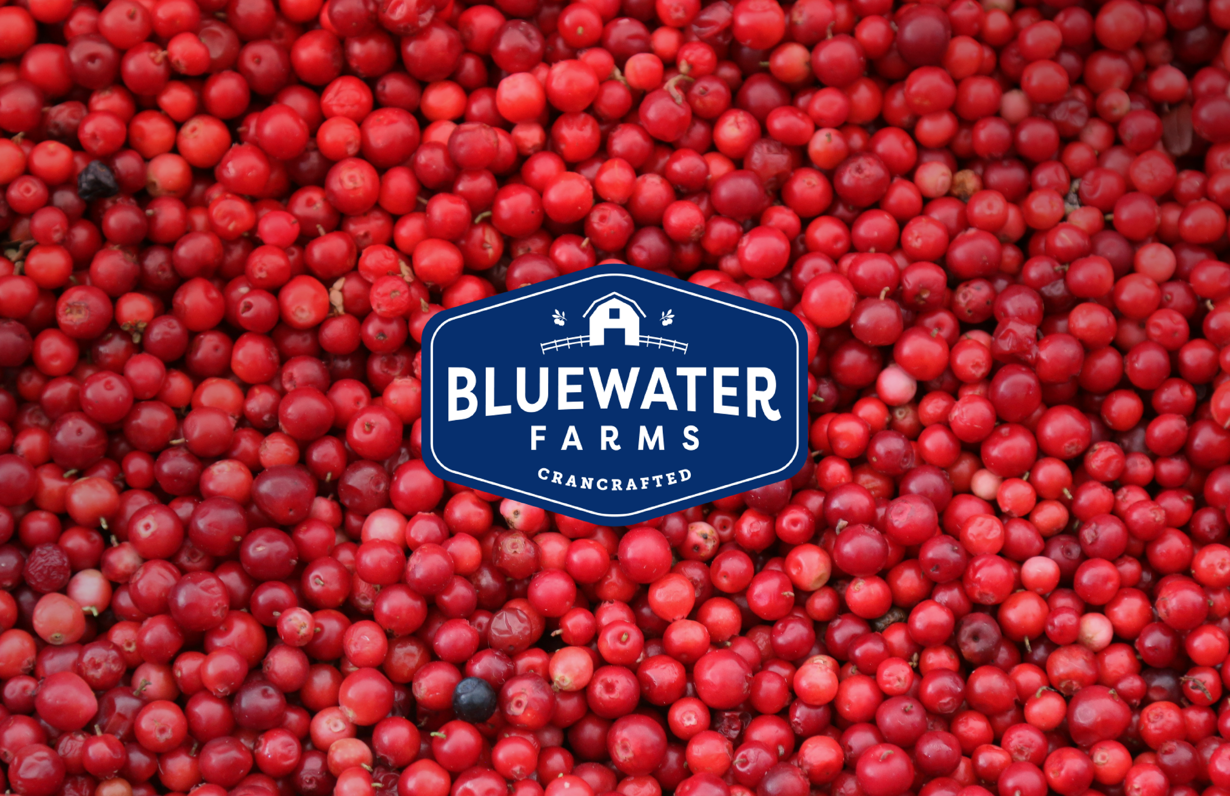 BLUEWATTER_FARMS-05.png