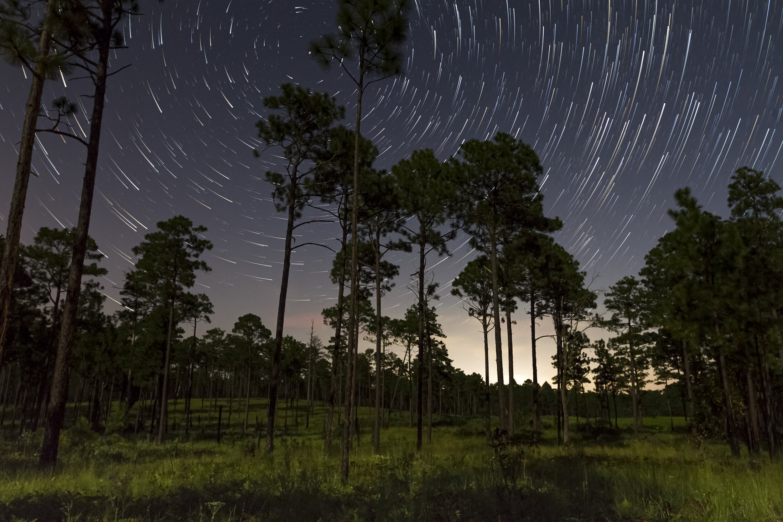 StarStaX_Perseids_900001-Perseids_900165_gap_filling.jpg