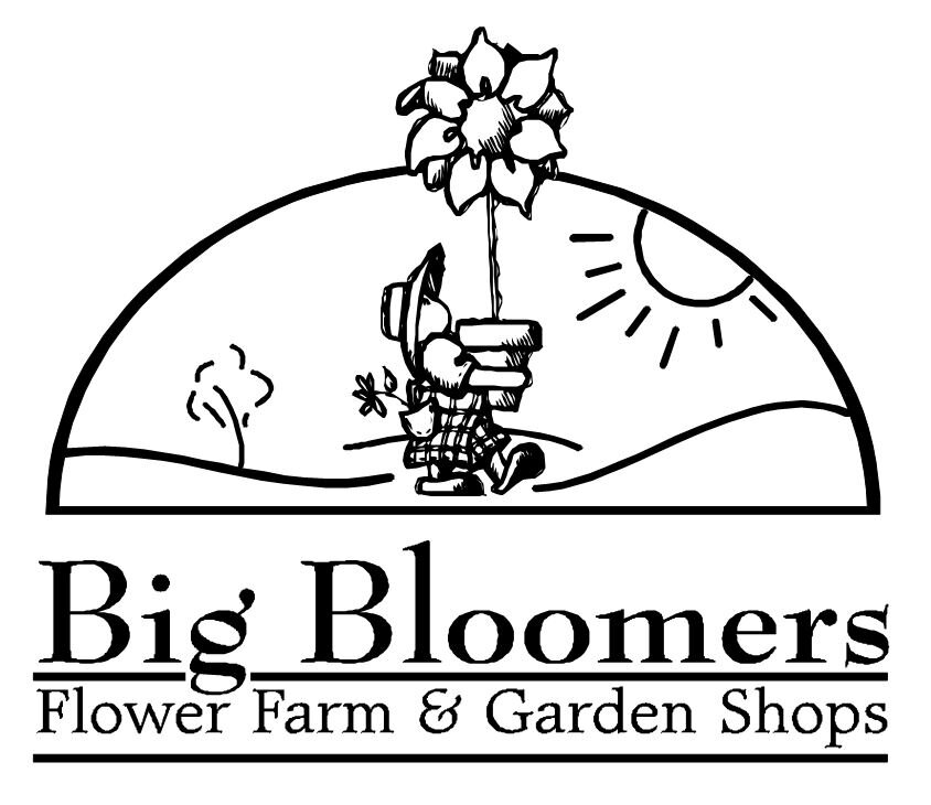 Big Bloomers.JPG