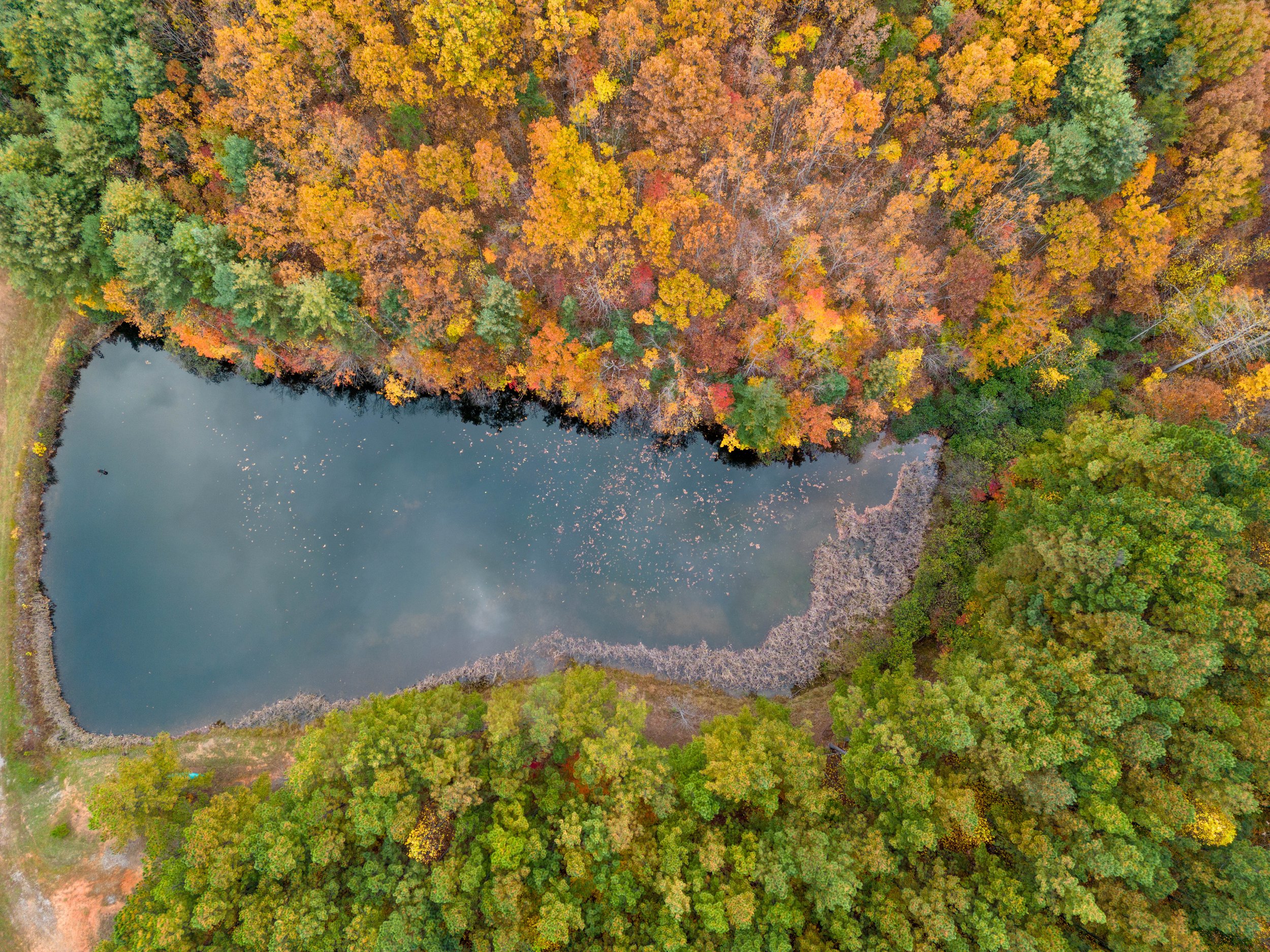 DJI_0195.jpg