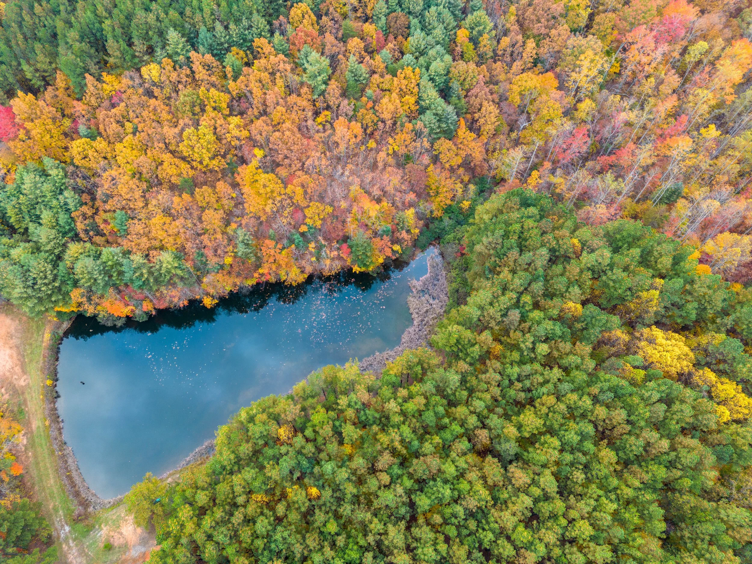 DJI_0194.jpg