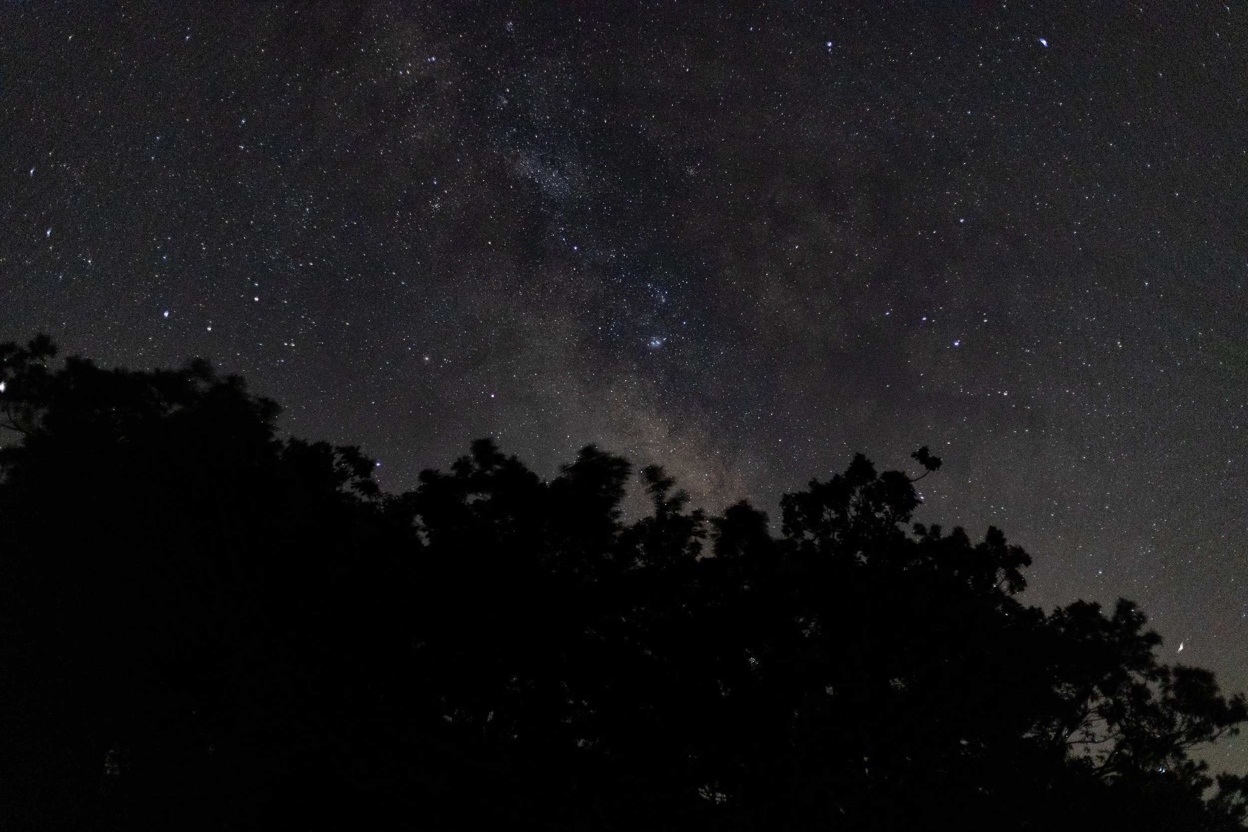 560A3390.jpg
