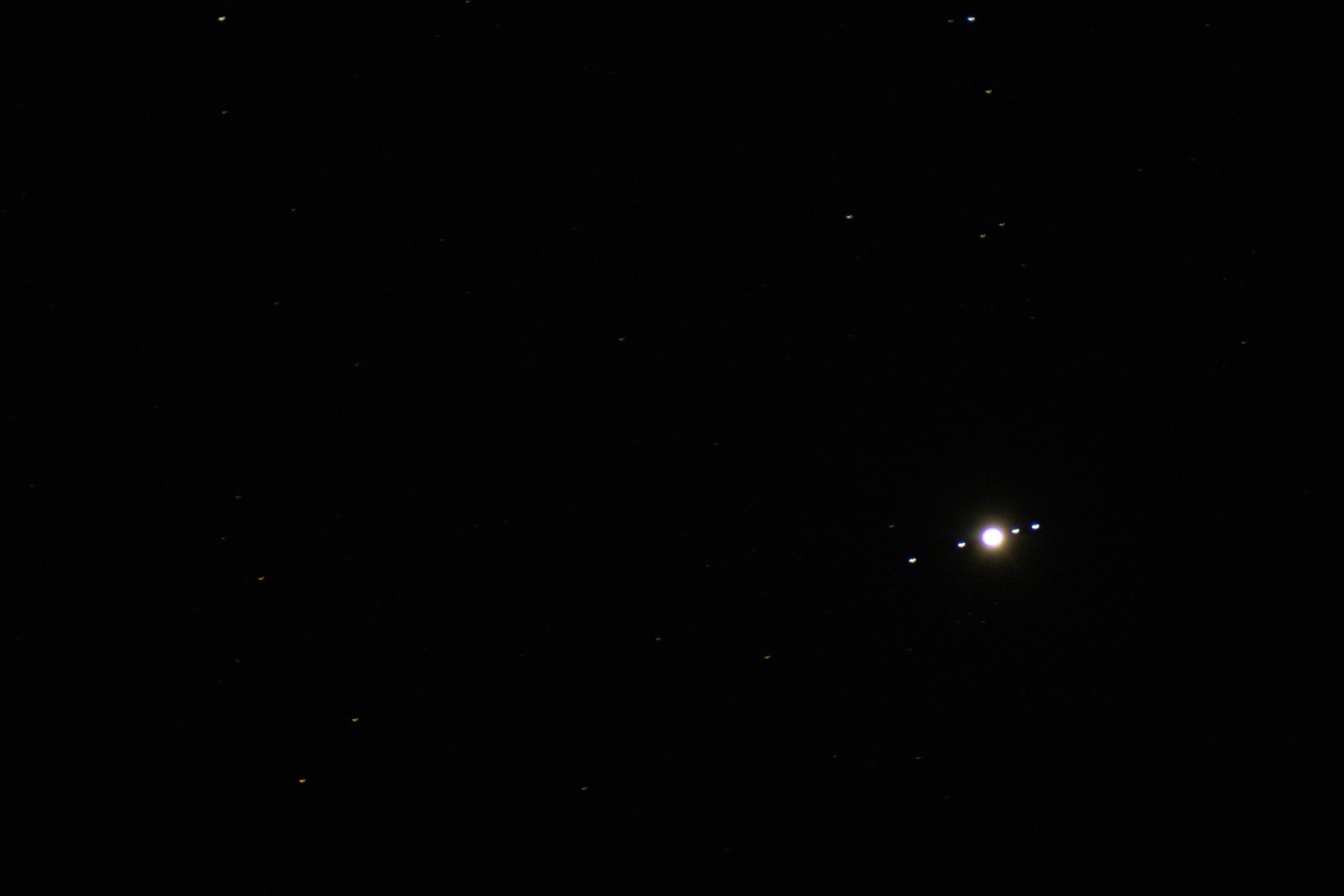 560A3442.jpg