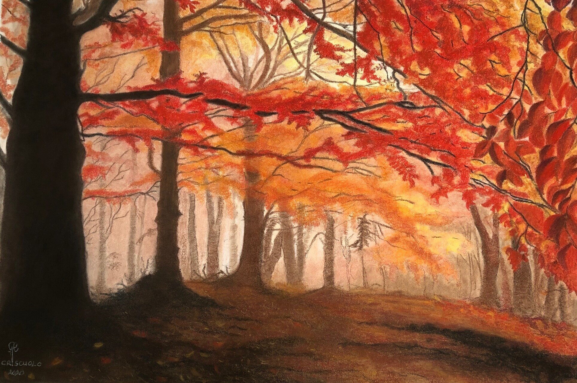 'Couleurs d'automne' - pastel sur papier - 20 x 14 inch - 300$