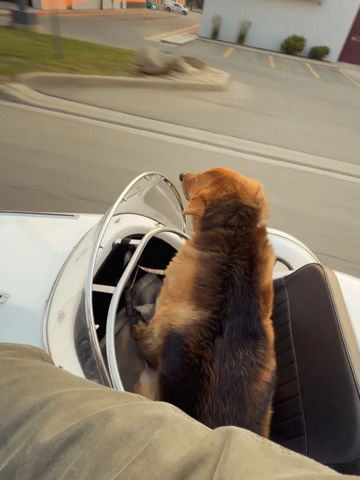 Dax&rsquo;s maiden voyage!

We are looking for a nice pair of doggles, let us know of any companies that make them in the comments!

#doggles #sidecarmotorcycle #yycmotorcycle #yycdog #yycnow
