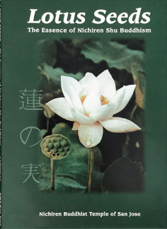 Lotus Seeds