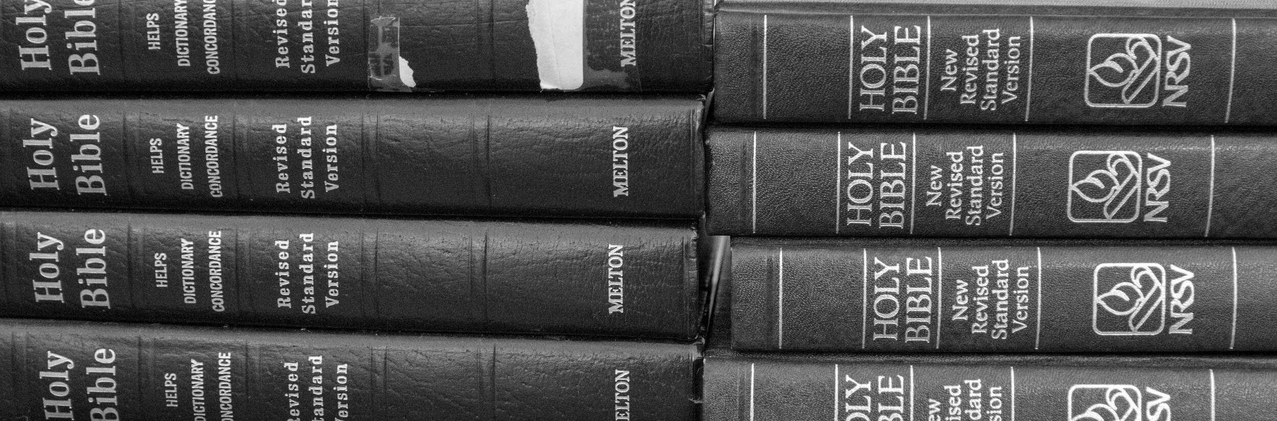 Banner-7461-2.jpg
