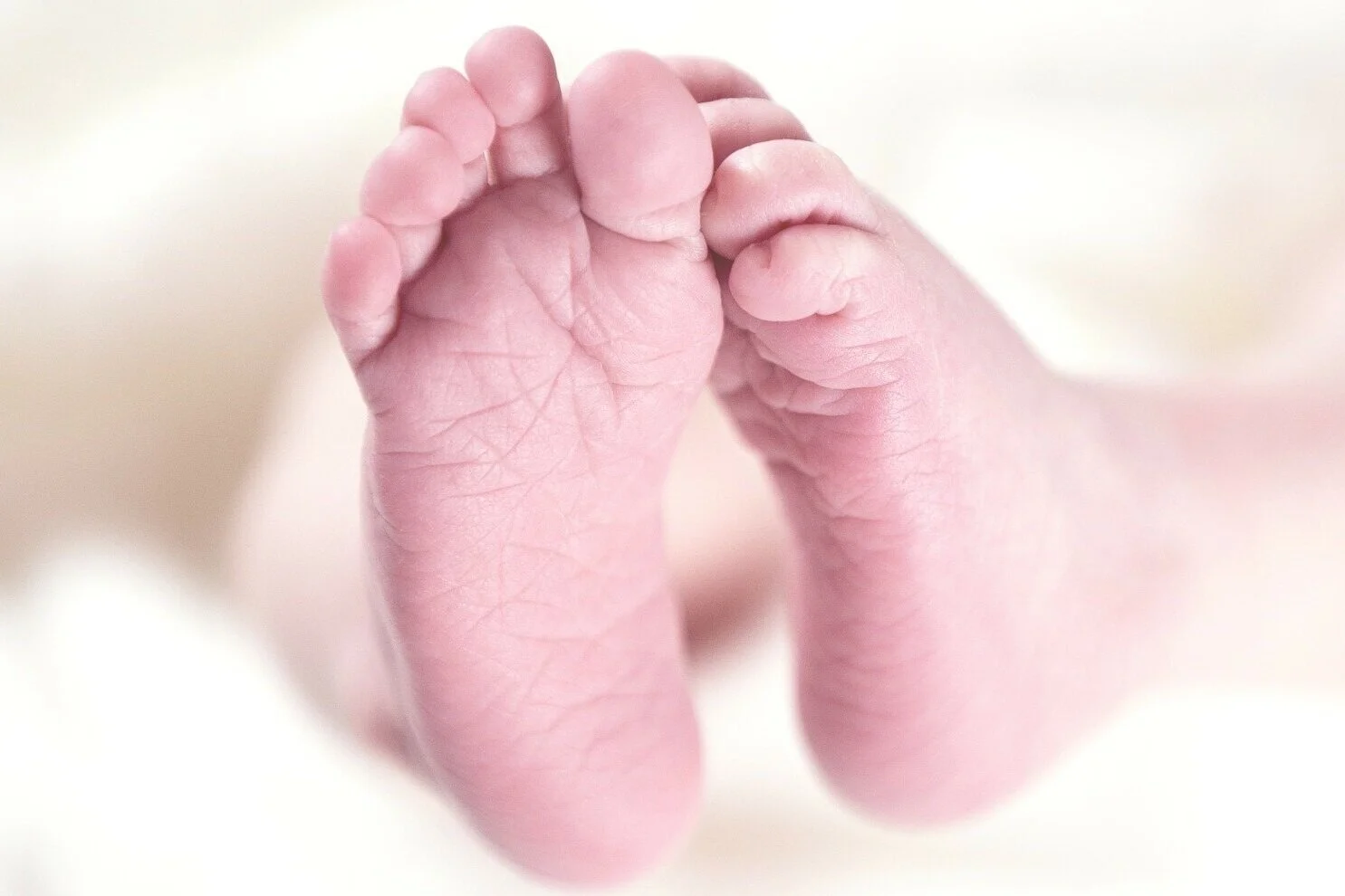 baby-256857_1920.jpg