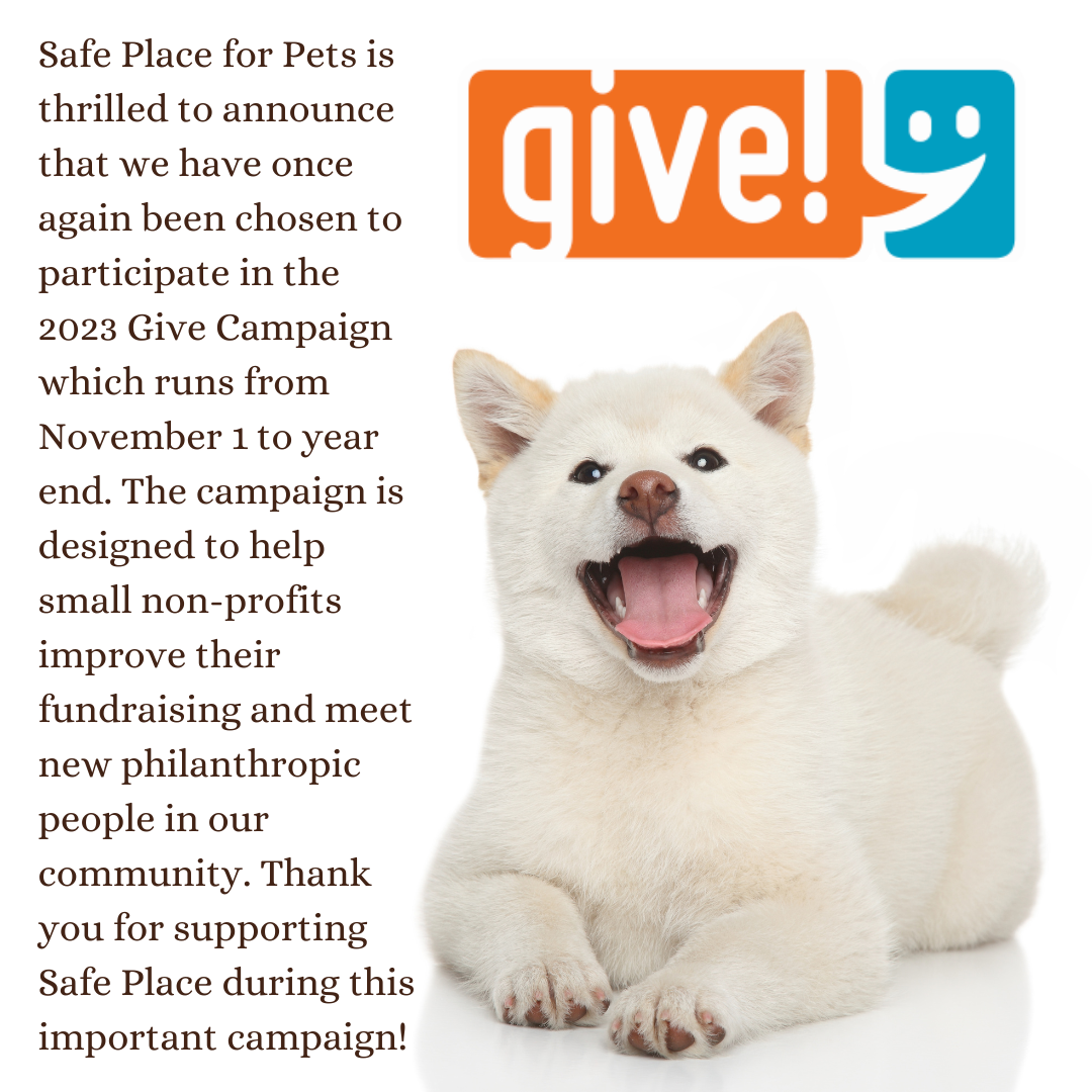 Events — Safe Place for Pets