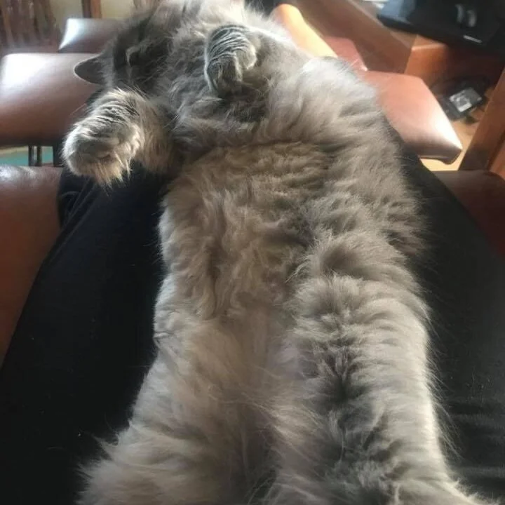 Tabitha4.jpg
