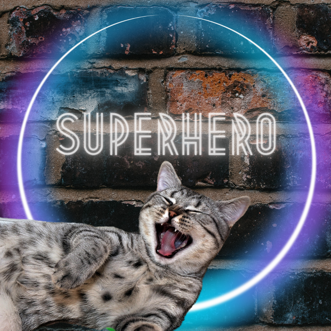 Superhero cat 2.png