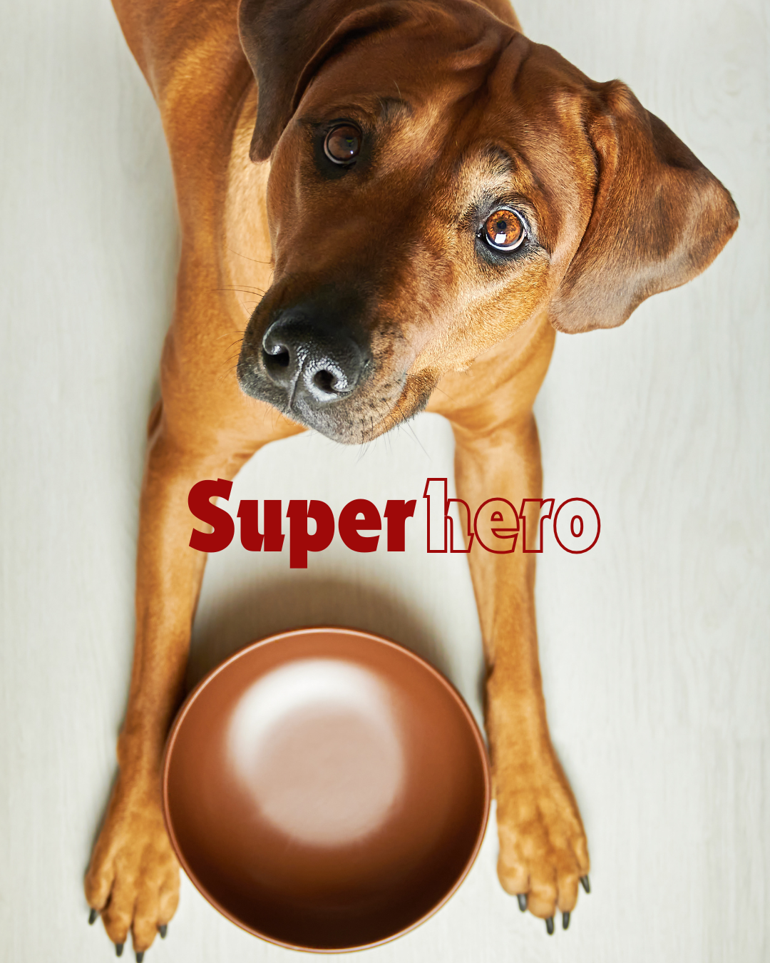 Copy of Pottery Superhero copy .png