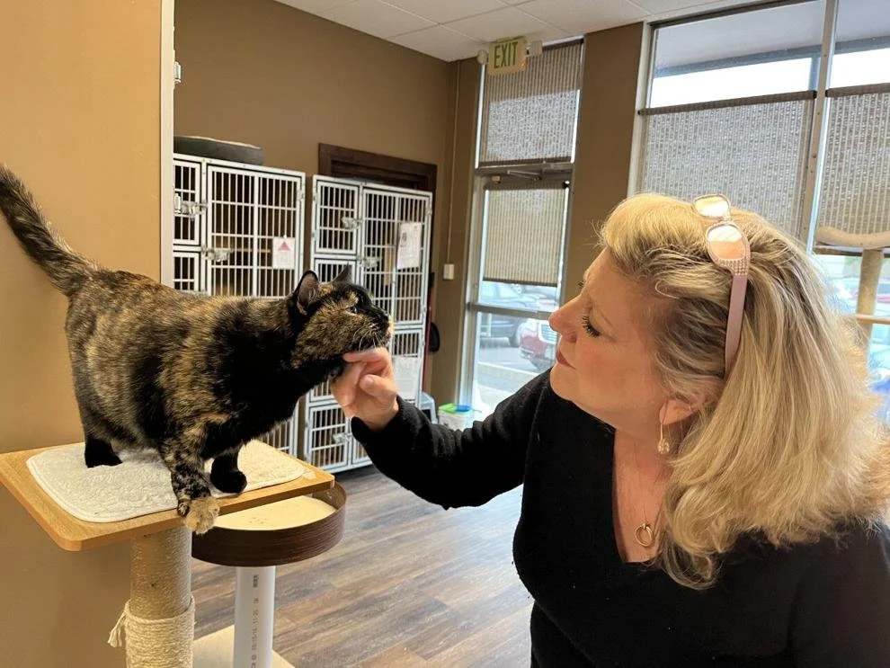 In the News — Safe Place for Pets