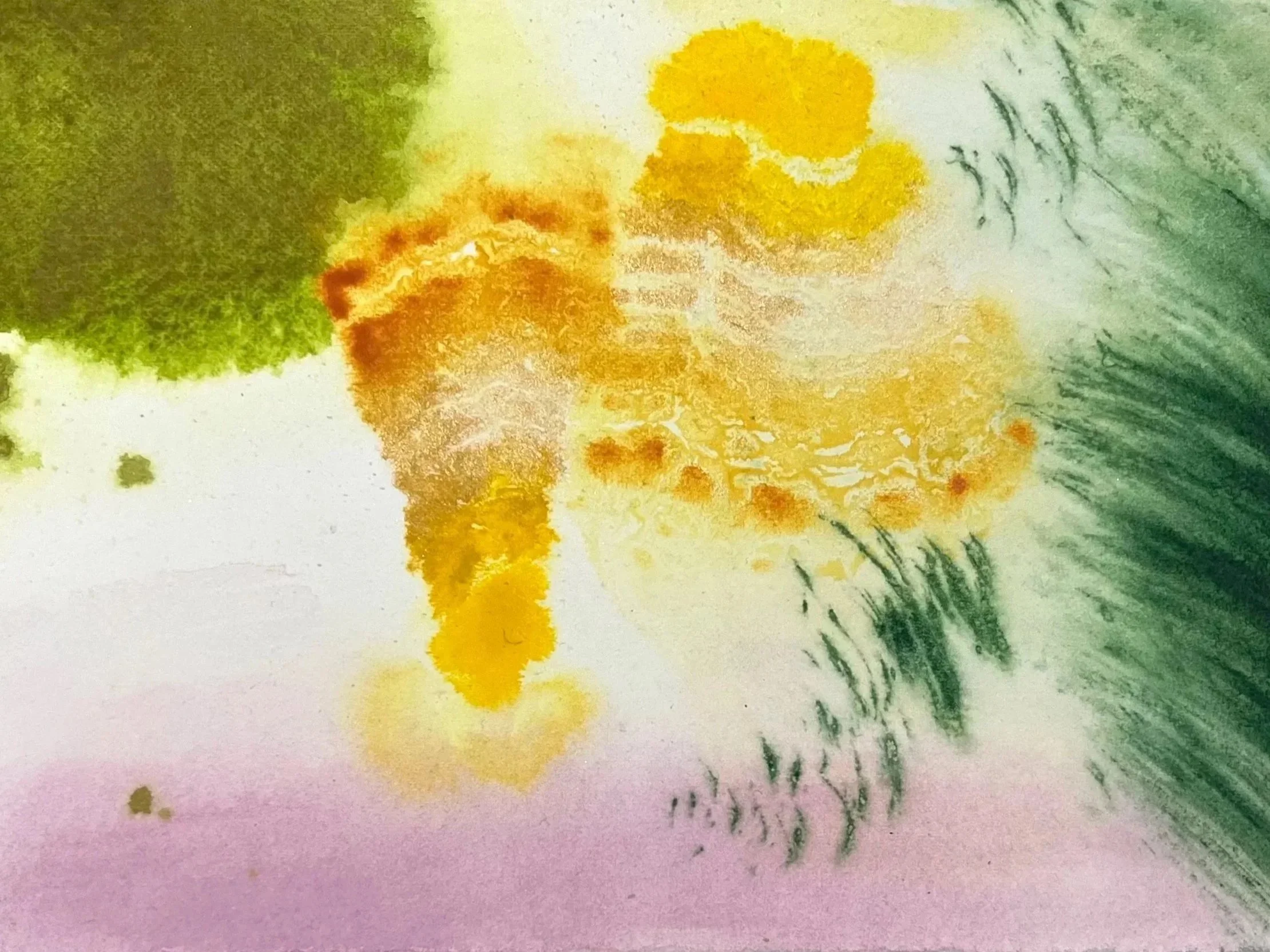 Pollinator
