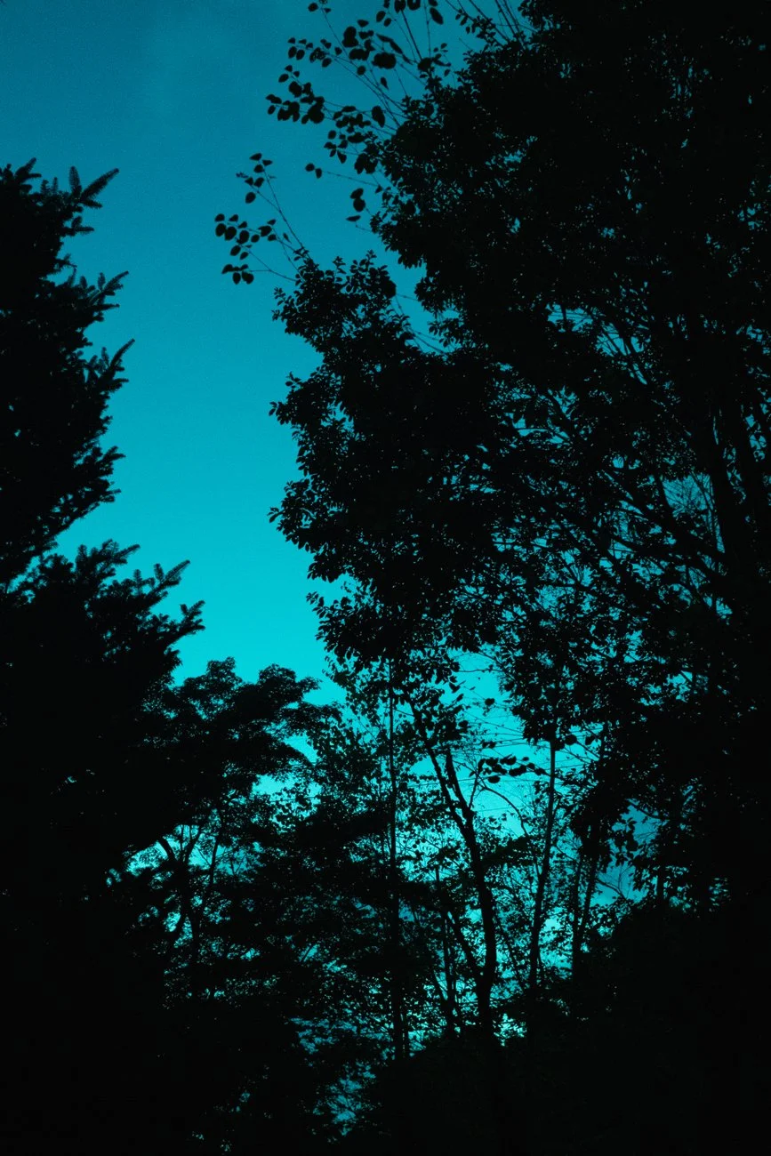 Aiko Wakao Austin-Singles-Shadow Play I.jpg