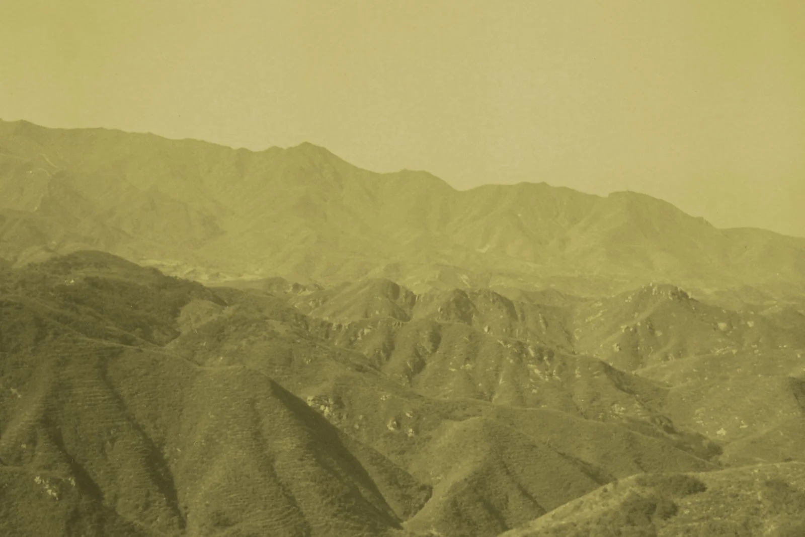 Aiko Wakao Austin-China 1987-2.jpg