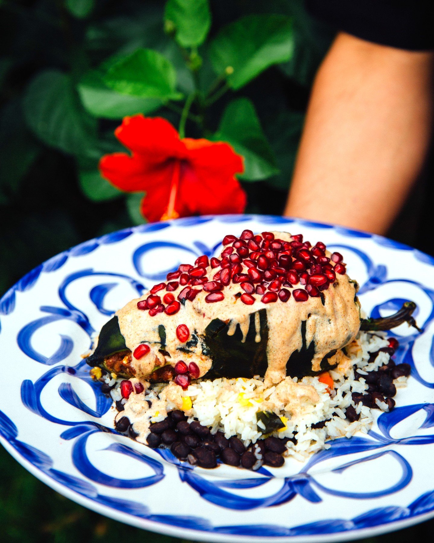 Looking for an elevated dinner experience that won't break the bank? 💸👀 Dishes like our En Nogada with a roasted pork-stuffed poblano and walnut sauce can take your evening meal to the next level. 💪

#santacatarina #atxeats #dinner #datenight