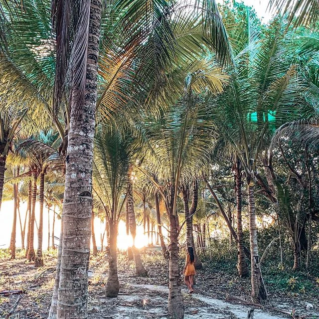 One of my favorite things, getting lost in palm trees on random islands across the world that bring you to the most beaches. Which is what we&rsquo;ll be doing during the last few days of our group trips with @thehearts.co &amp; we&rsquo;ve officiall