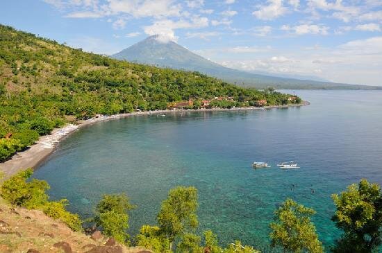 amed.jpg
